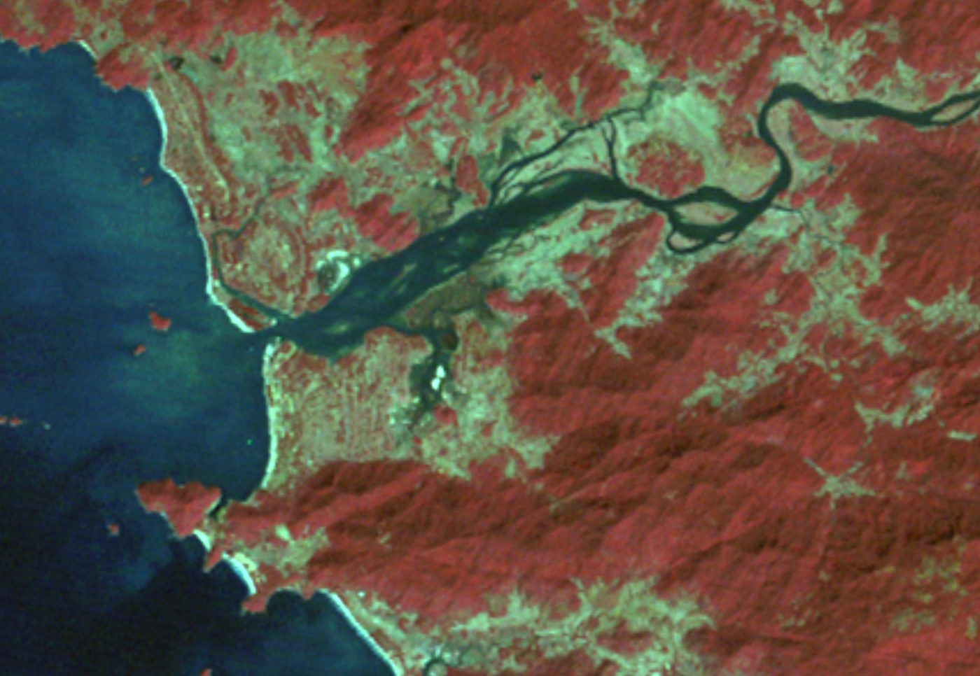 Landsat 1 view of the Kali estuary, December 1972, false colour